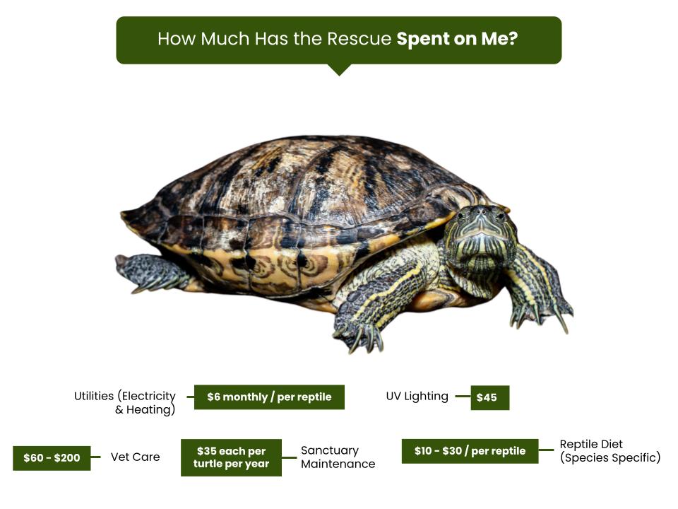 Little RES Q Fee Graphic (2)