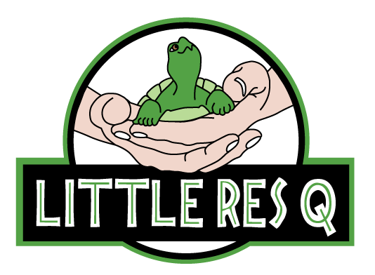 Little RESQ